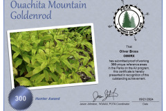 OM0RX_POTA_Ouachita_Mountain_Goldenrod_Hunter